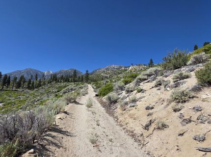 1219-04-002-005 Kingsbury Grade Road, Gardnerville, NV 89460 Photo