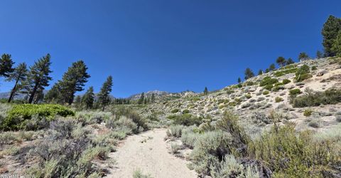 1219-04-002-005 Kingsbury Grade Road, Gardnerville, NV 89460 Photo