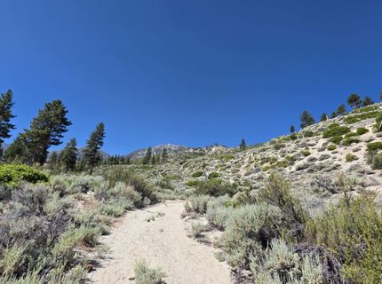 1219-04-002-005 Kingsbury Grade Road, Gardnerville, NV 89460 Photo