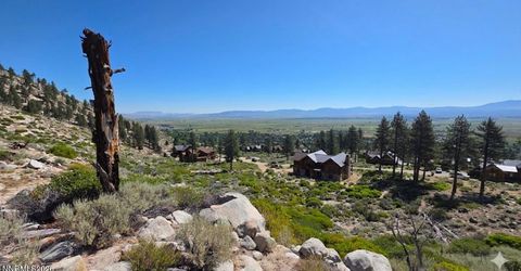 1219-04-002-005 Kingsbury Grade Road, Gardnerville, NV 89460 Photo