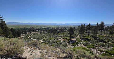 1219-04-002-005 Kingsbury Grade Road, Gardnerville, NV 89460 Photo