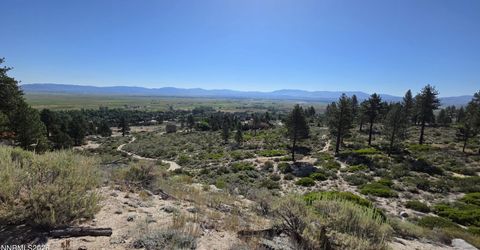 1219-04-002-005 Kingsbury Grade Road, Gardnerville, NV 89460 Photo