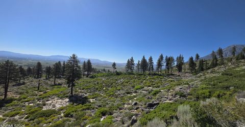 1219-04-002-005 Kingsbury Grade Road, Gardnerville, NV 89460 Photo