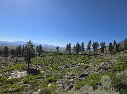 1219-04-002-005 Kingsbury Grade Road, Gardnerville, NV 89460 Photo