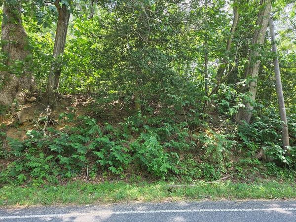 Lot 29 Prospect Hill Road, MONTROSS, VA 22520