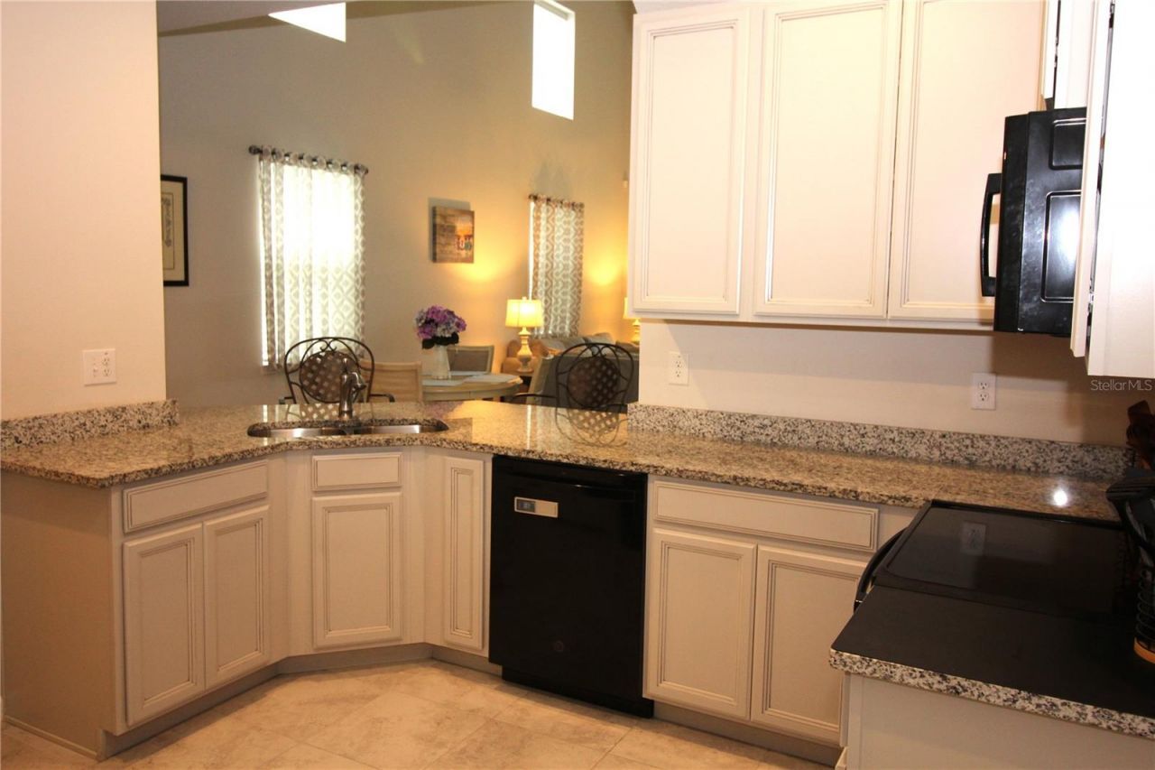 2135 Laceflower Drive , Brandon, FL 33510 Photo