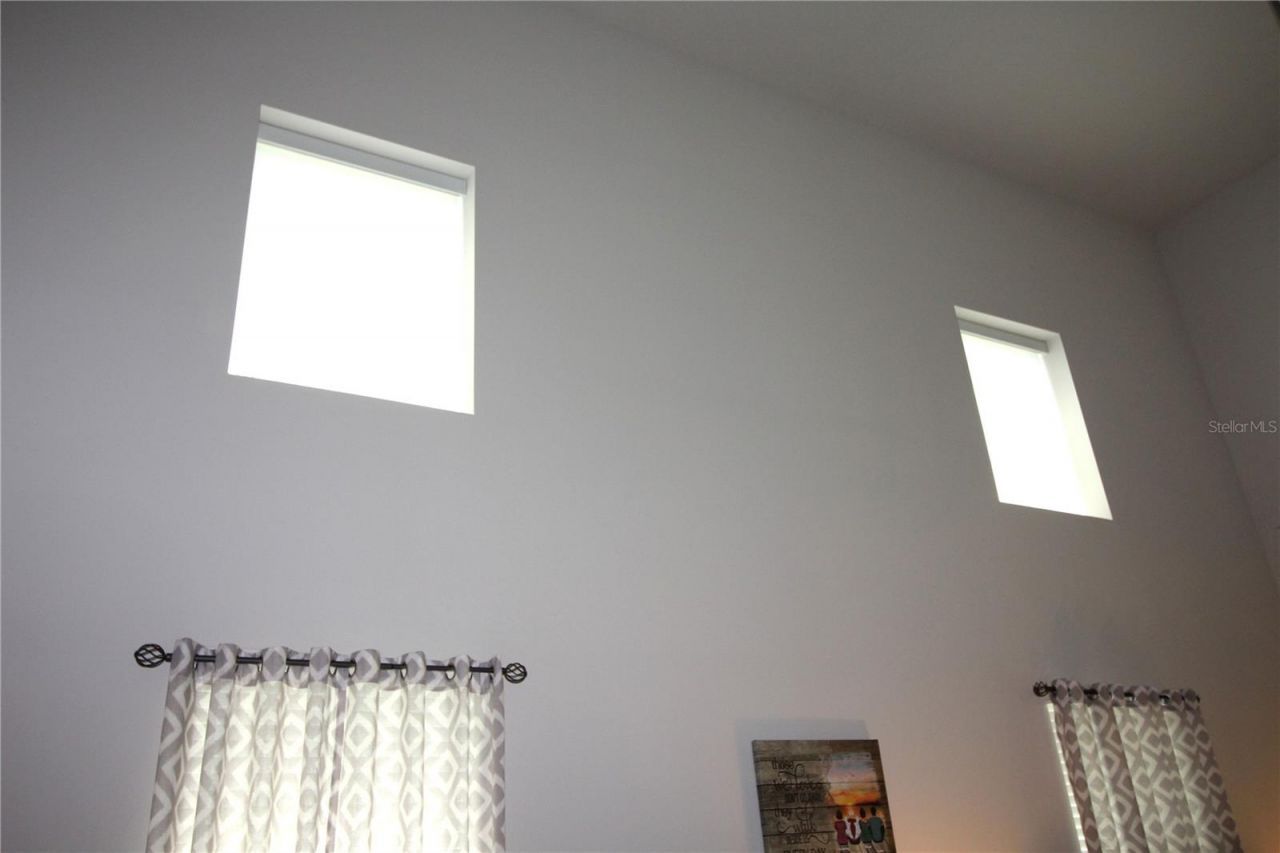2135 Laceflower Drive , Brandon, FL 33510 Photo