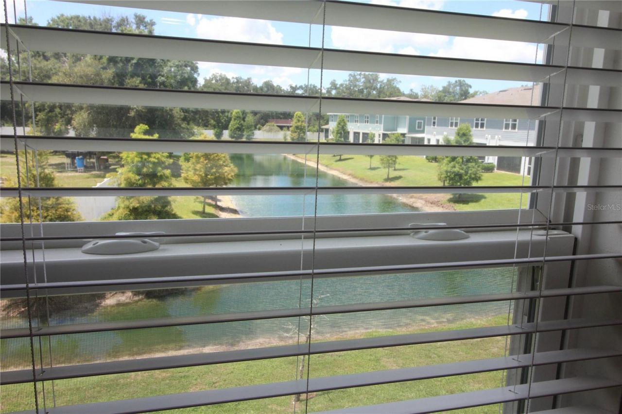 2135 Laceflower Drive , Brandon, FL 33510 Photo