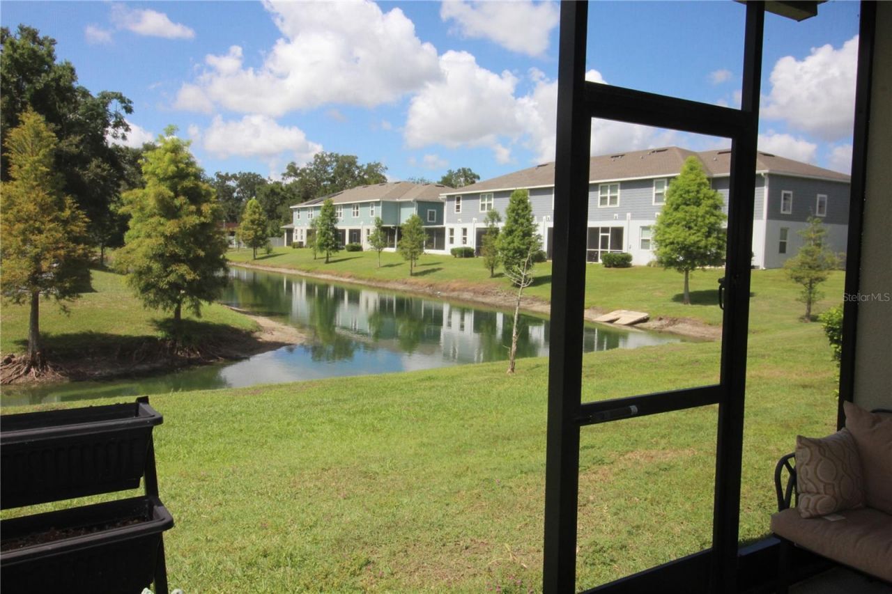 2135 Laceflower Drive , Brandon, FL 33510 Photo