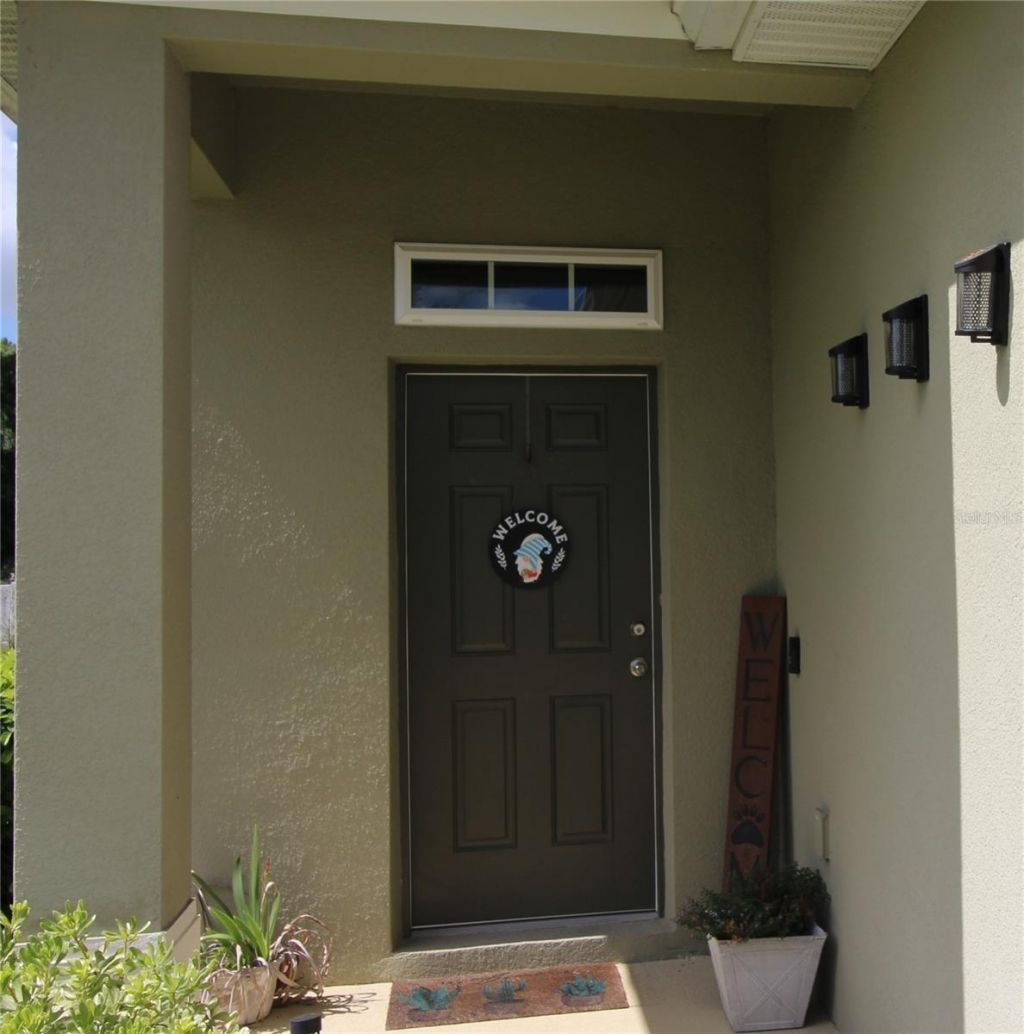 2135 Laceflower Drive , Brandon, FL 33510 Photo