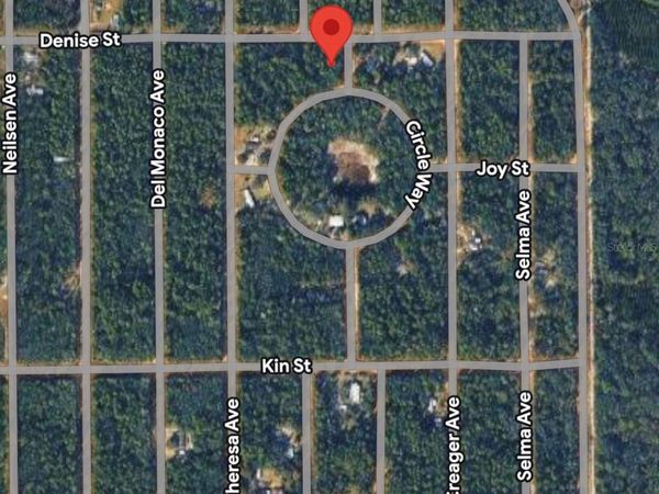 DENISE STREET , INTERLACHEN, FL 32148