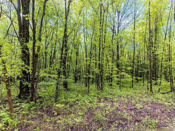6149 Belfast Road, Stonelick Twp, OH 45122