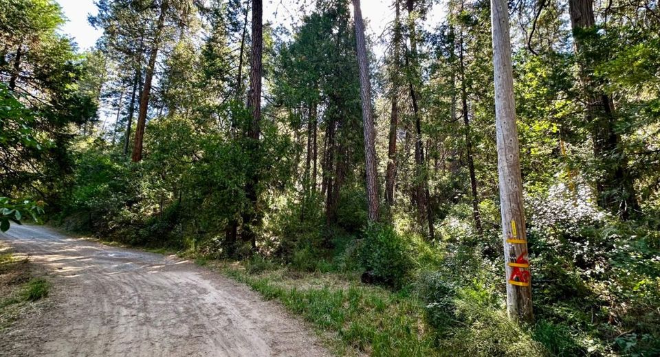 Dean Rd, Somerset, CA 95684 Photo