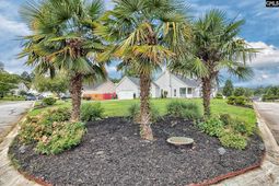 3 Walnut Grove Way photo 4