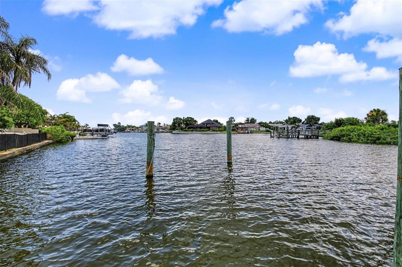 7011 Pelican Island Drive, Tampa, FL 33634 Photo
