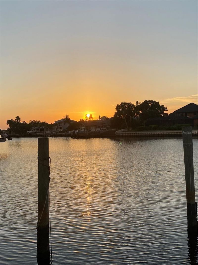 7011 Pelican Island Drive, Tampa, FL 33634 Photo