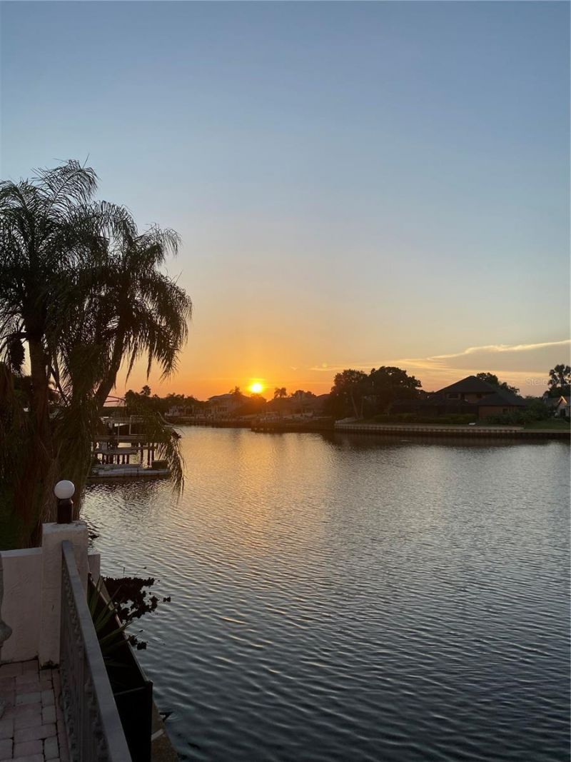 7011 Pelican Island Drive, Tampa, FL 33634 Photo