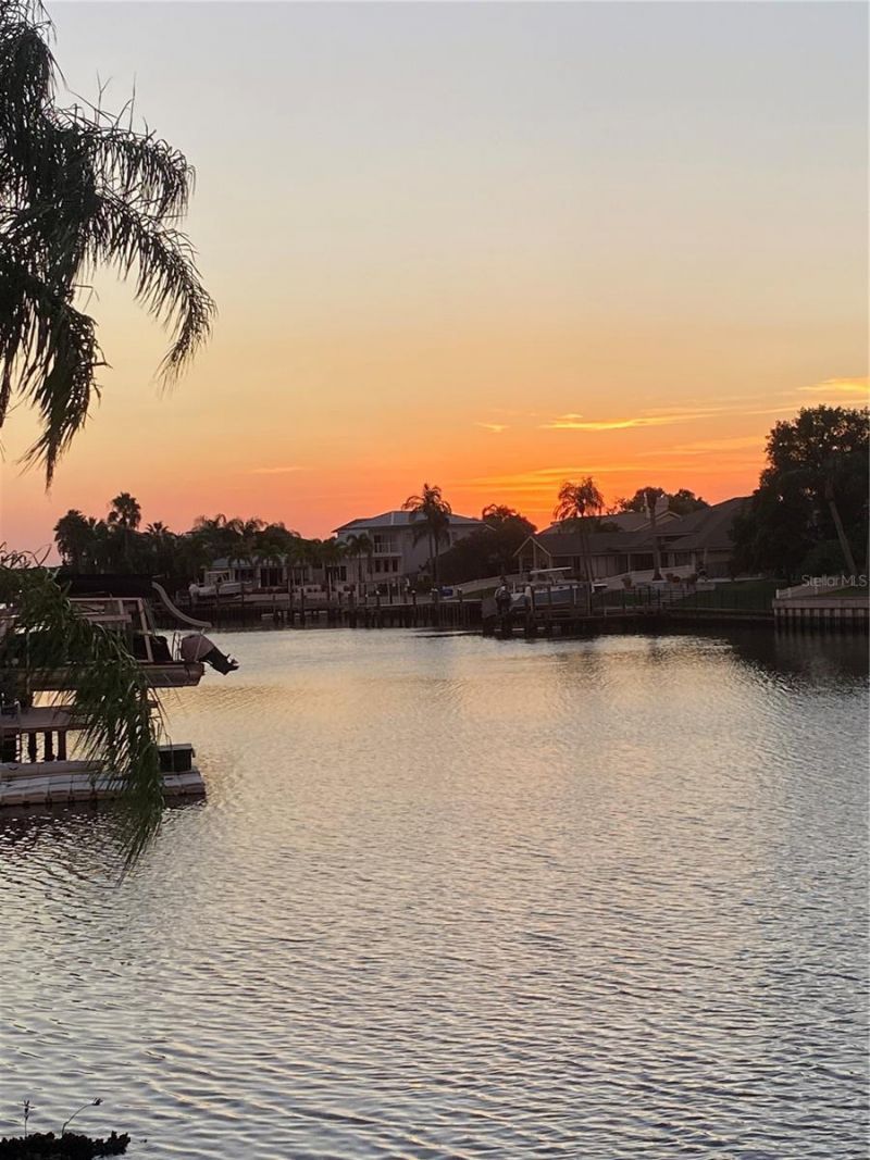 7011 Pelican Island Drive, Tampa, FL 33634 Photo