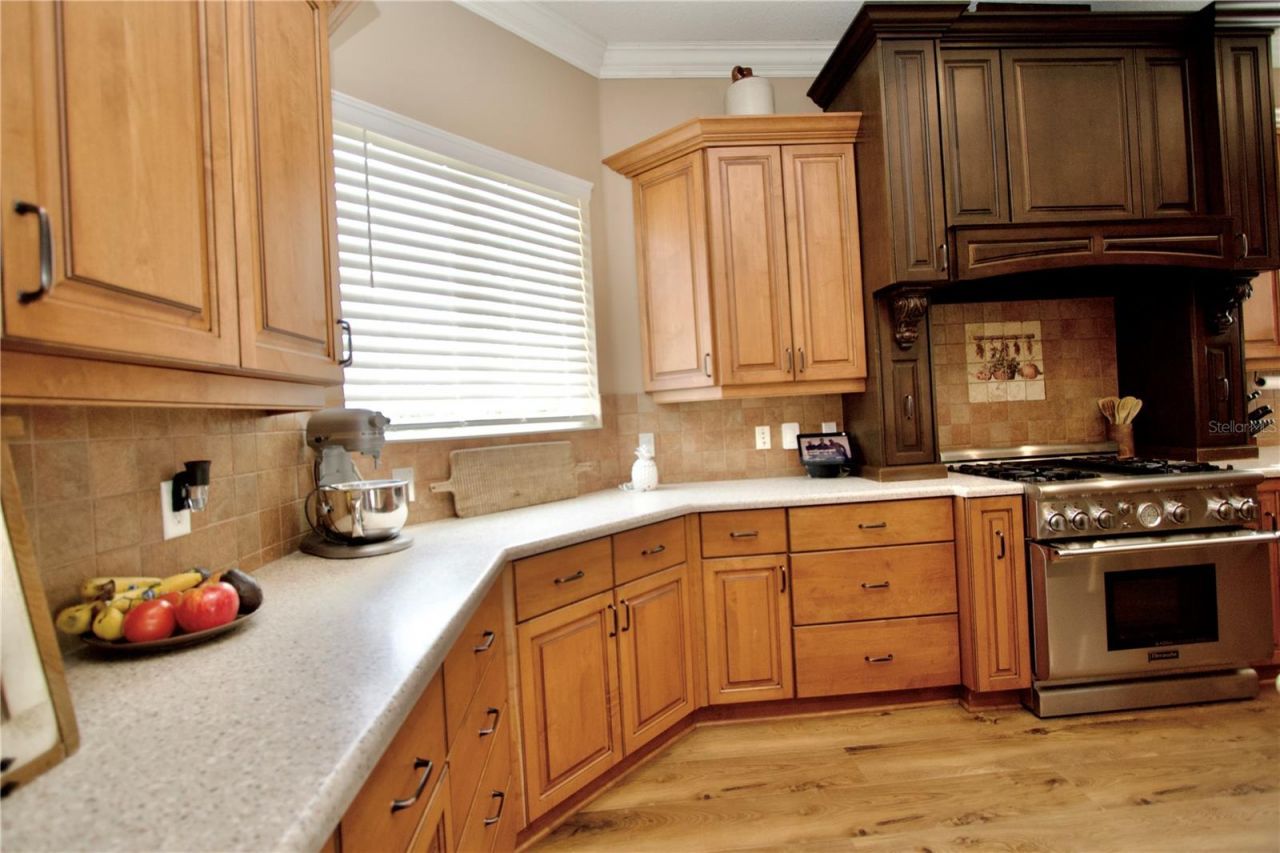 32112 Jack Russell Court, Dade City, FL 33525 Photo