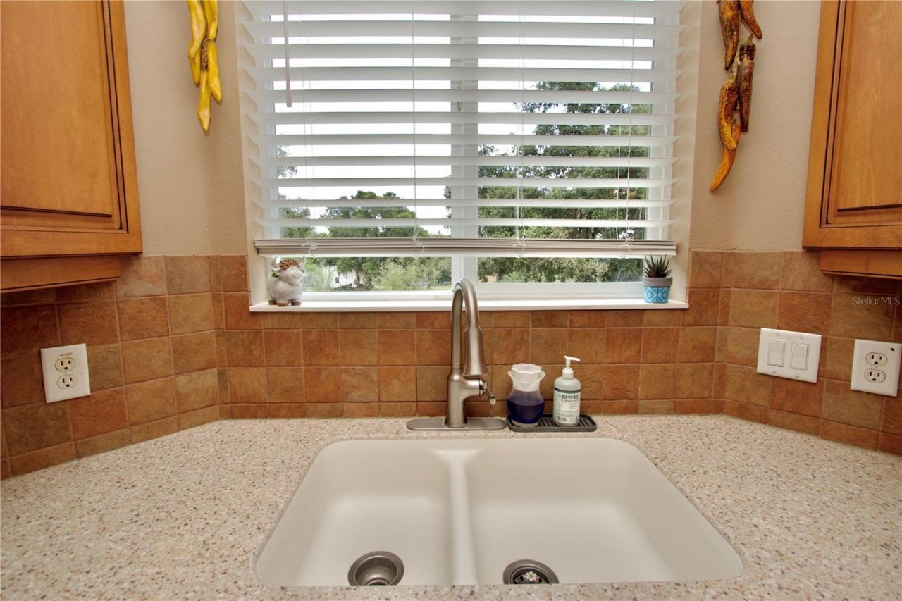 32112 Jack Russell Court, Dade City, FL 33525 Photo