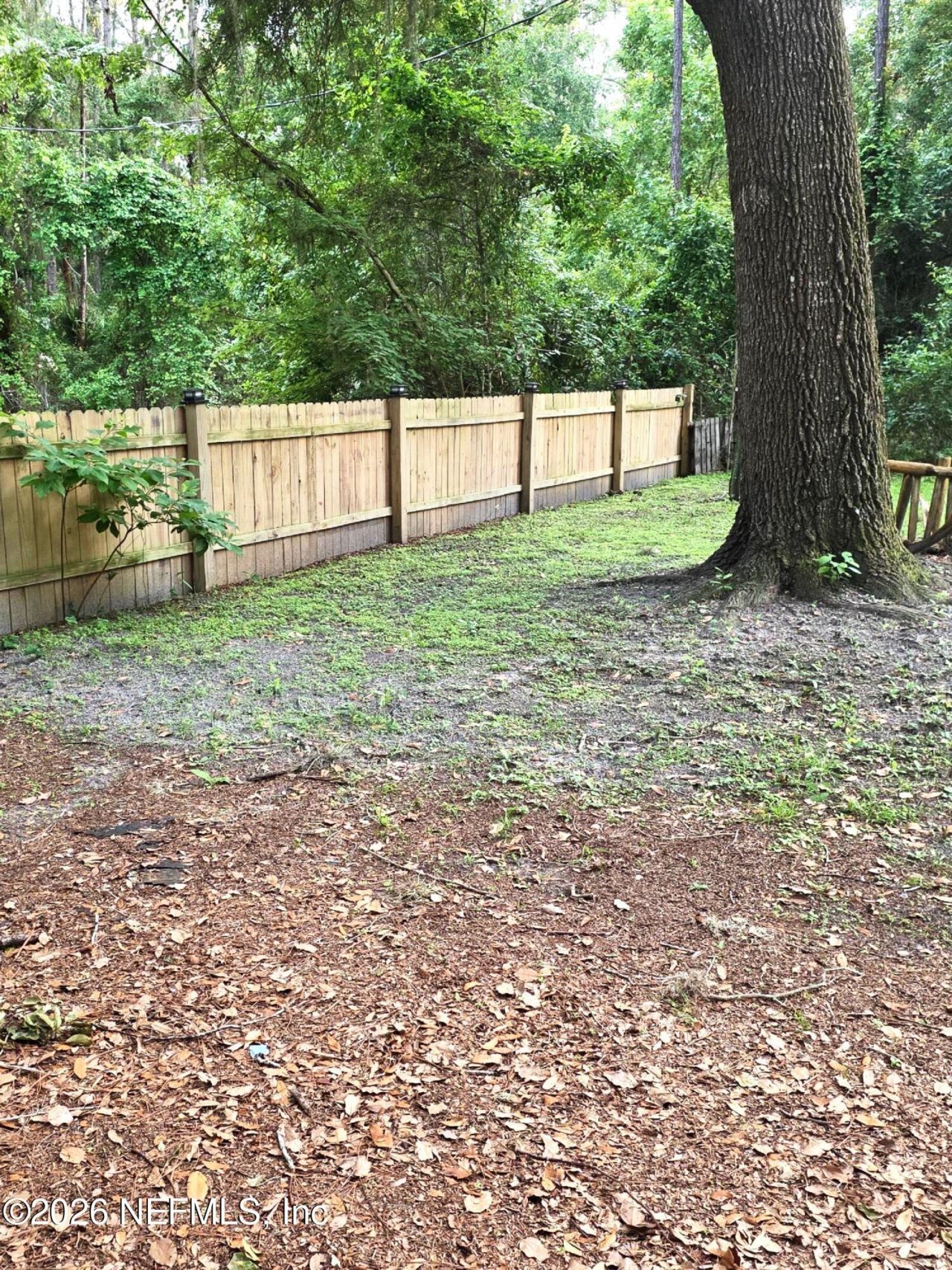 126 Janet Avenue, Georgetown, FL 32139 Photo