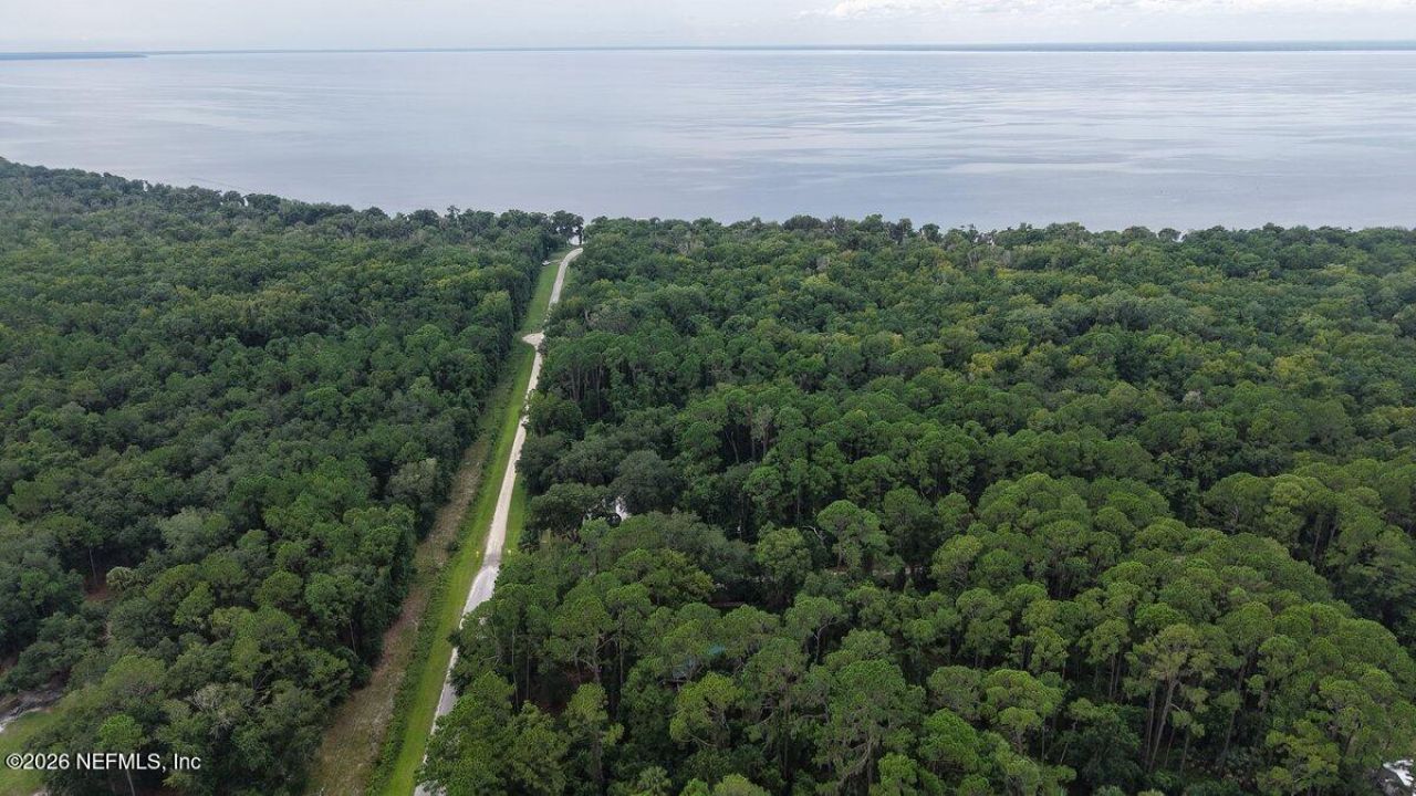 126 Janet Avenue, Georgetown, FL 32139 Photo