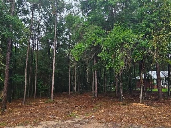 0 Timber Creek Drive N, Axis, AL 36505