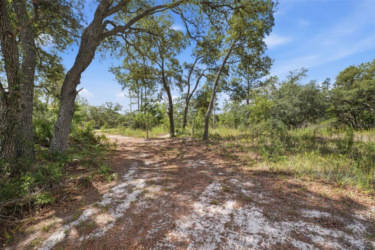 11020 Sage Thrasher Avenue , Weeki Wachee, FL 34614 Photo