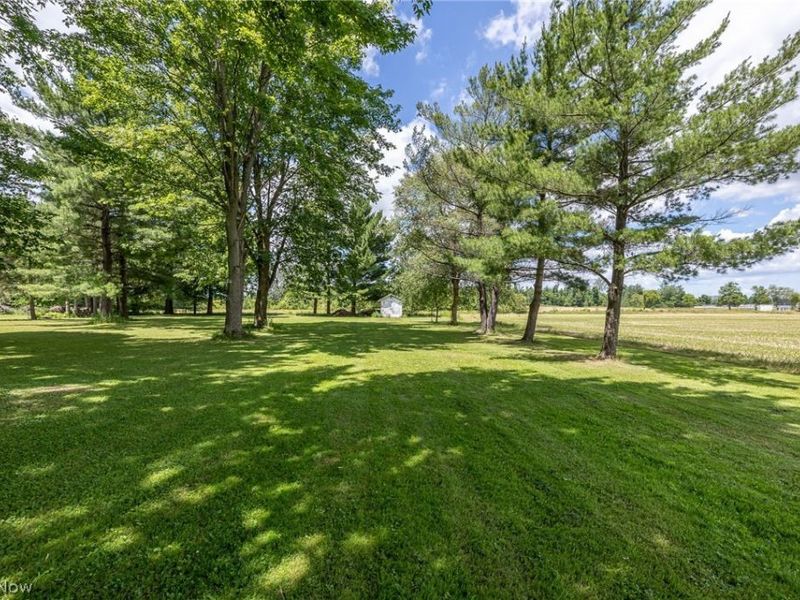 315 West Street, Lagrange, OH 44050 Photo 34