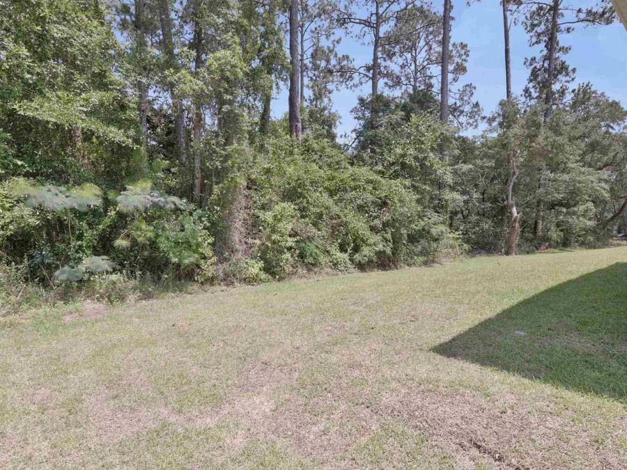 Property Image 67