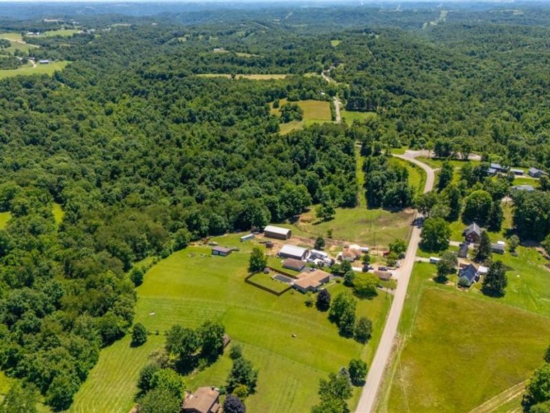 61173 Crozier Ridge Road, Bellaire, OH 43906 Photo 10