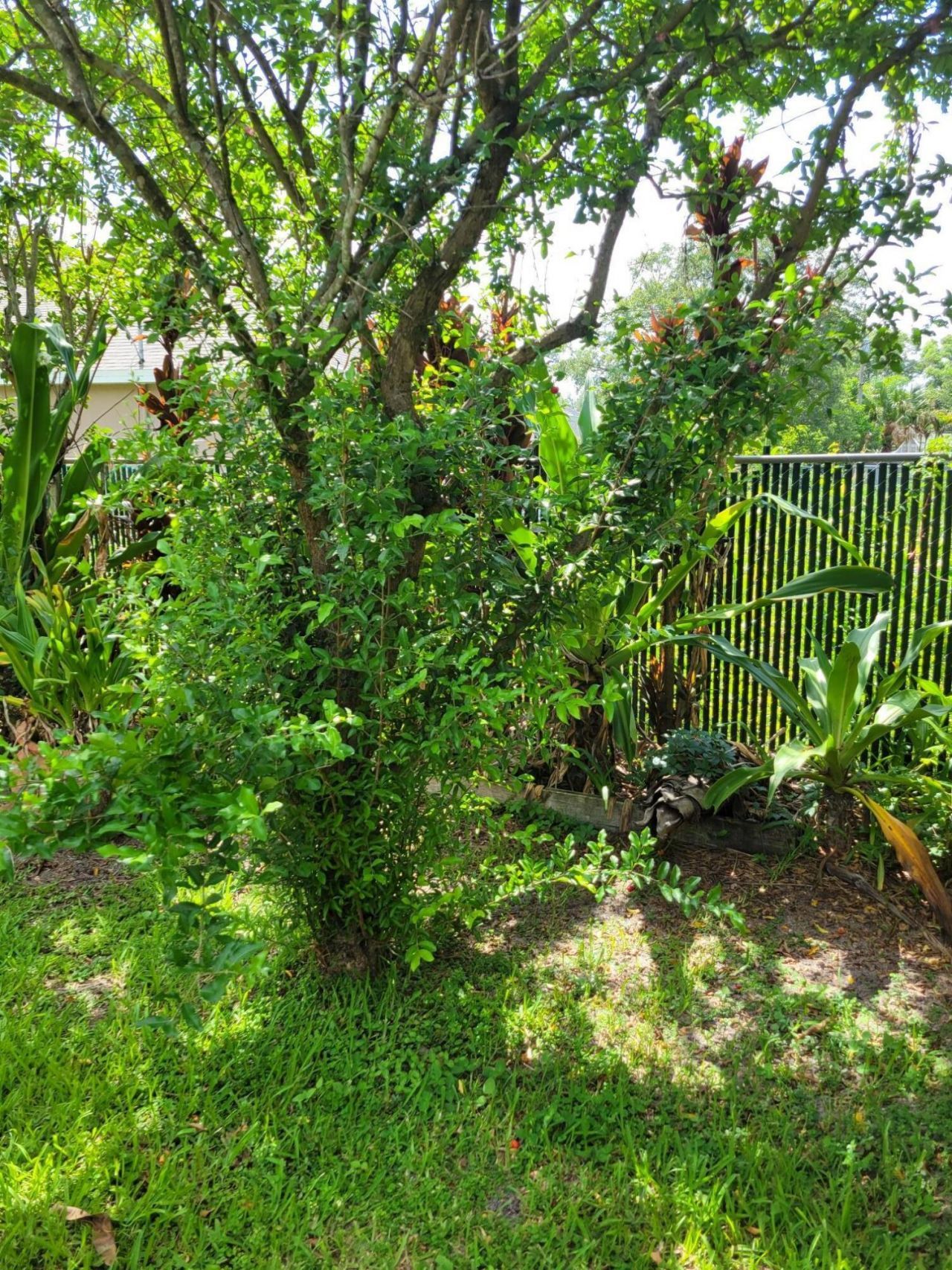 141 SW Covington Road, Port Saint Lucie, FL 34953 Photo