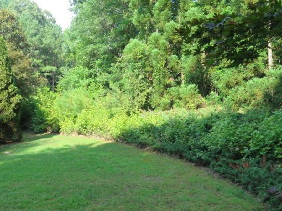 Property Image 65