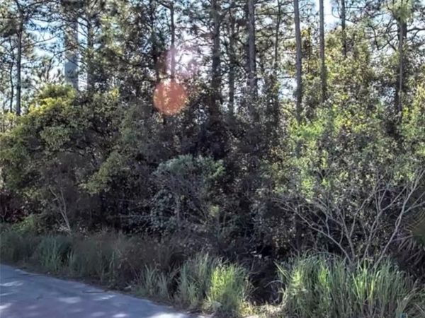 TBD INTERNATIONAL DRIVE S, ORLANDO, FL 32821
