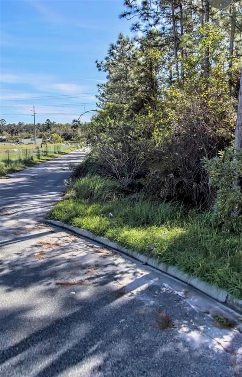 Tbd International Drive S, Orlando, FL 32821 Photo