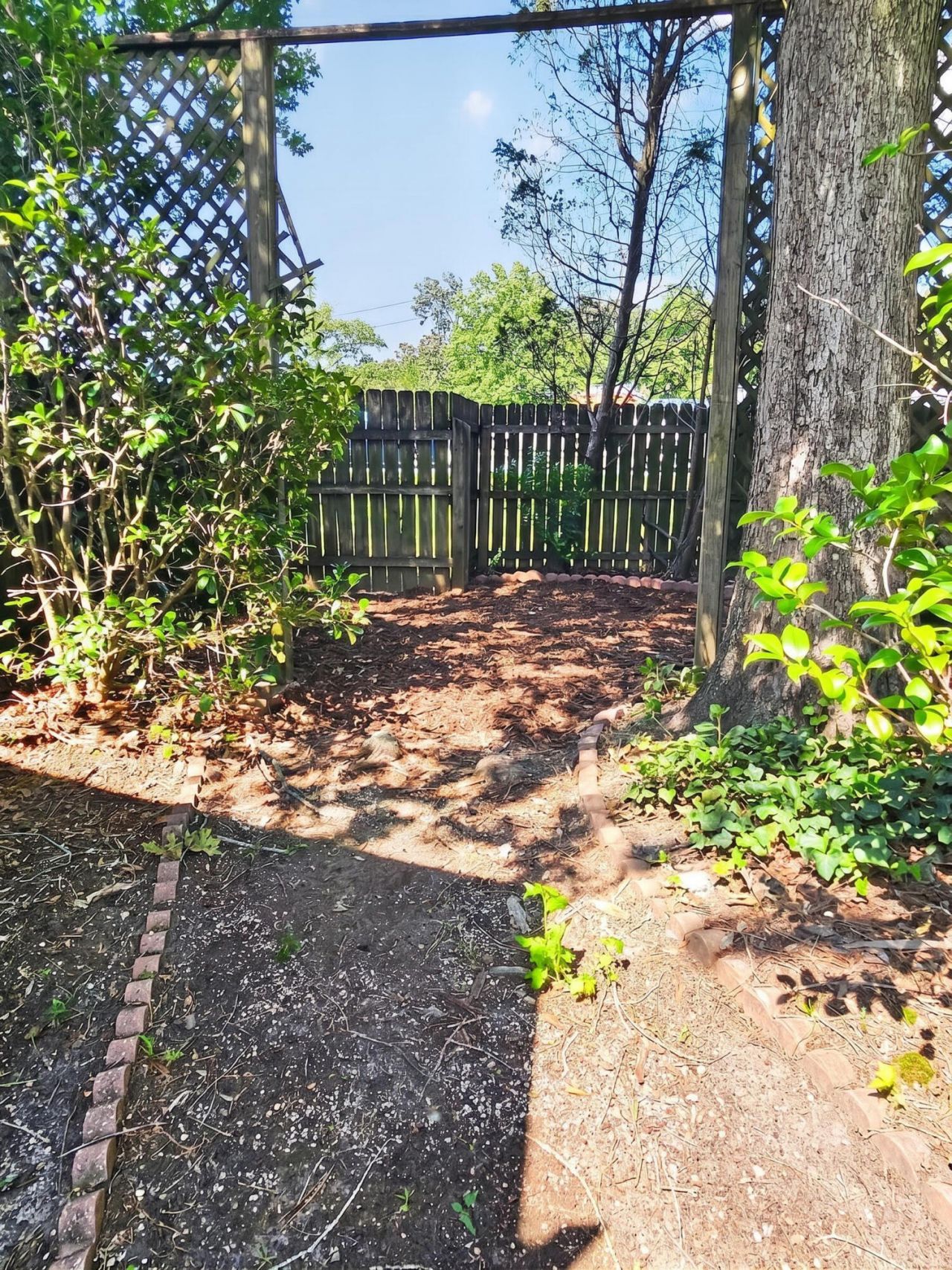 101 Beacon Hill Lane Photo 8