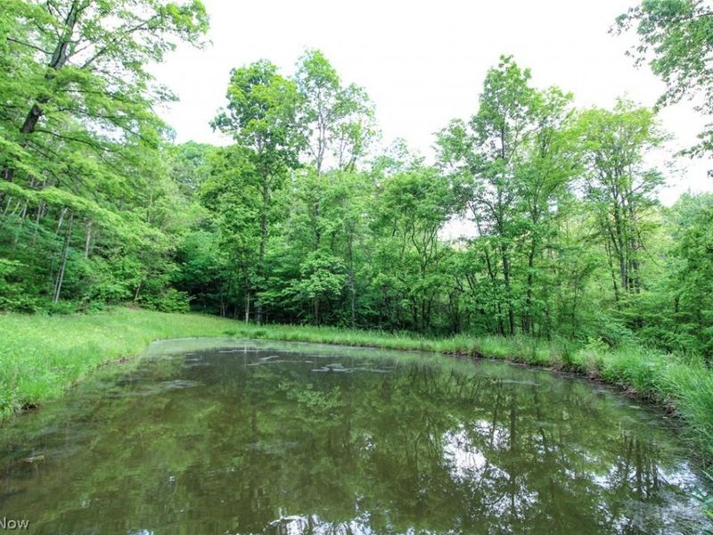 10195 Goosecreek Road, Roseville, OH 43777 Photo 42
