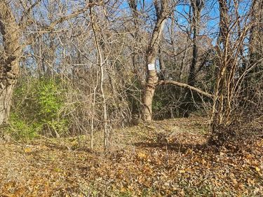 000 Hillpoint Drive, Hamburg Township, Mi 48116