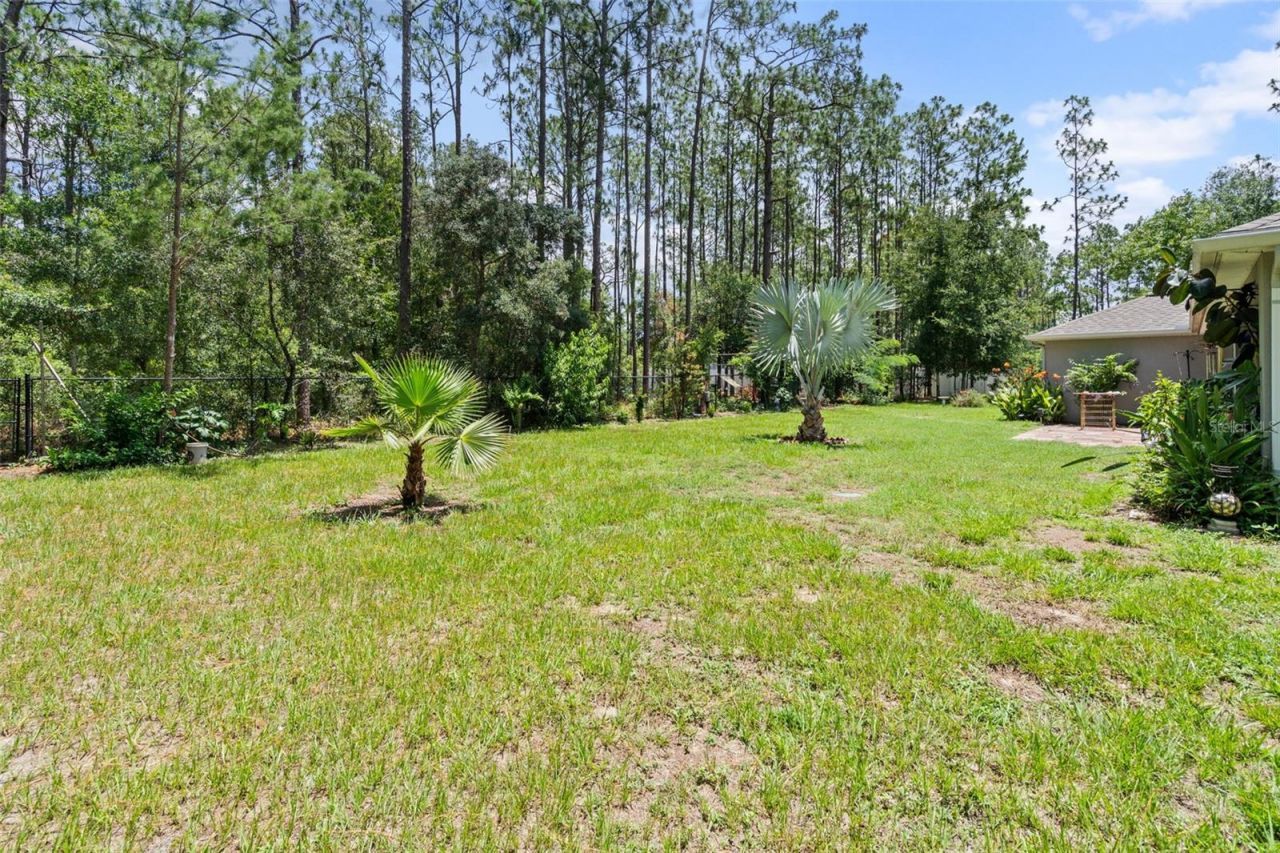 15577 Sago Drive , Brooksville, FL 34604 Photo