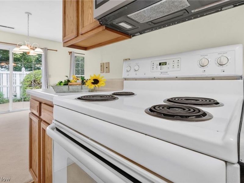 1044 Patrick Place, Unit 12, Wooster, OH 44691 Photo 15