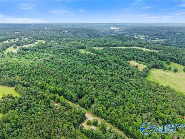 37.0 Acres County Road 940, Crane Hill, AL 35053