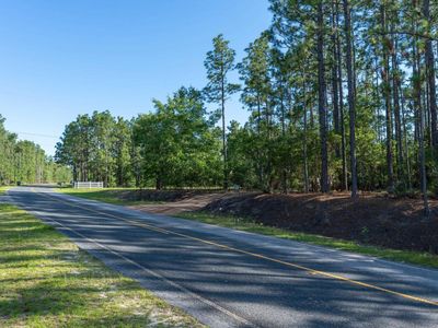 0 Pine Plain Road, Gaston, SC 29053