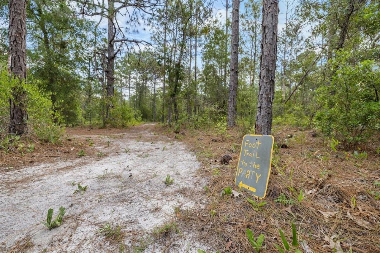 15624 Peace Boulevard, Spring Hill, FL 34610 Photo