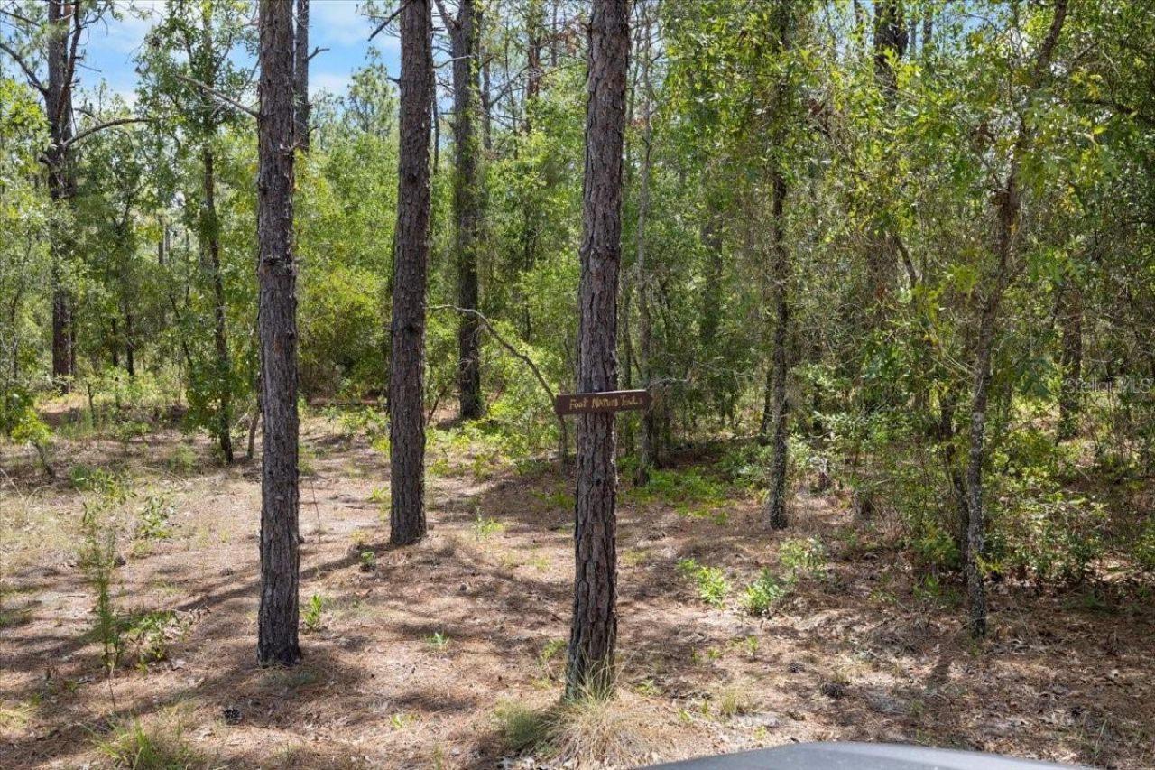 15624 Peace Boulevard, Spring Hill, FL 34610 Photo