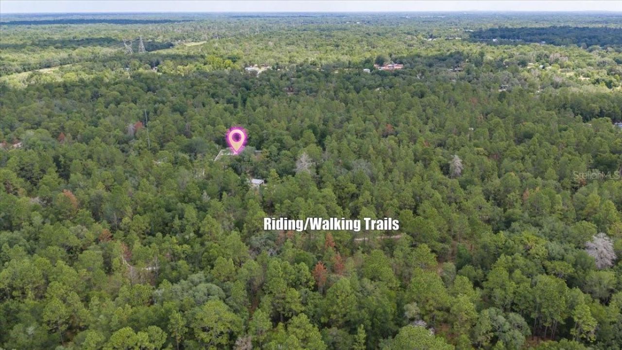 15624 Peace Boulevard, Spring Hill, FL 34610 Photo