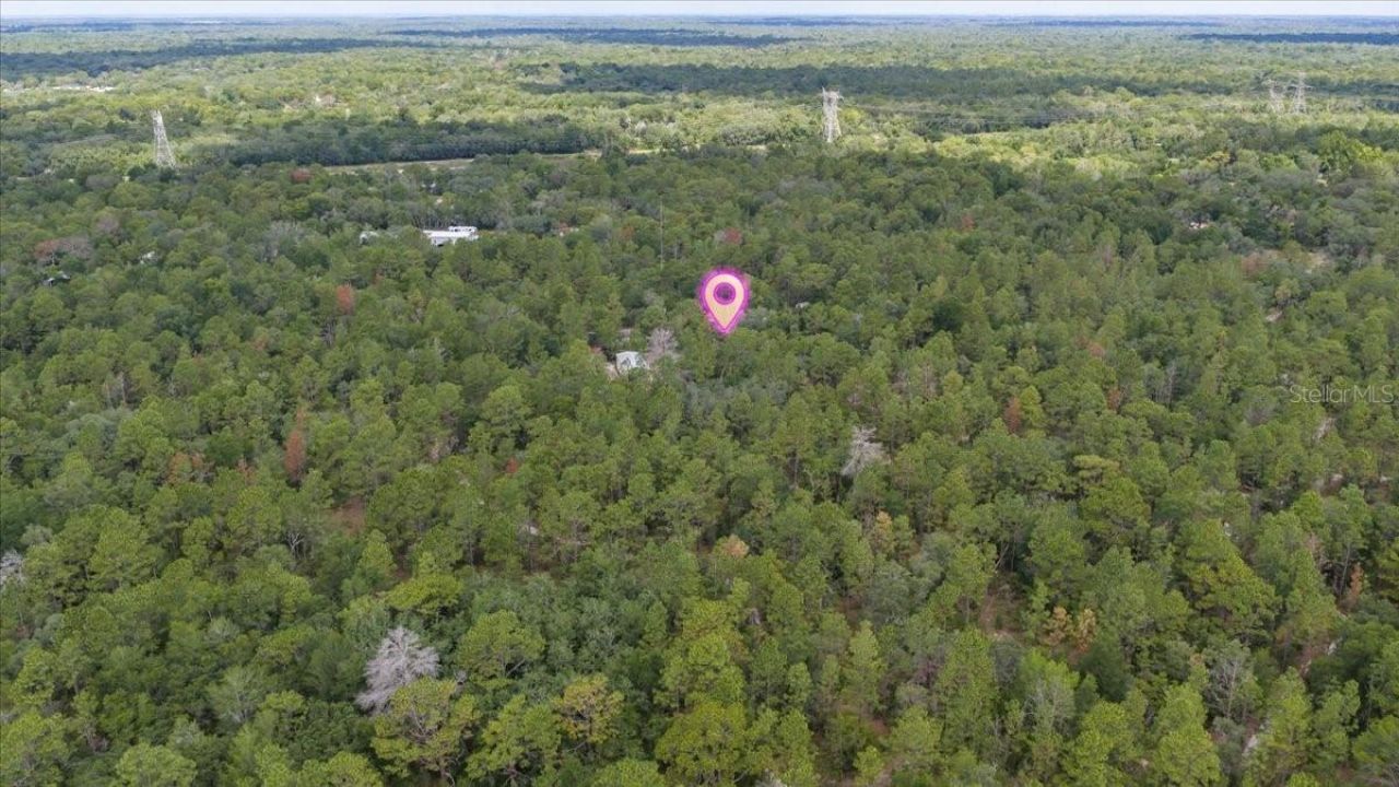 15624 Peace Boulevard, Spring Hill, FL 34610 Photo