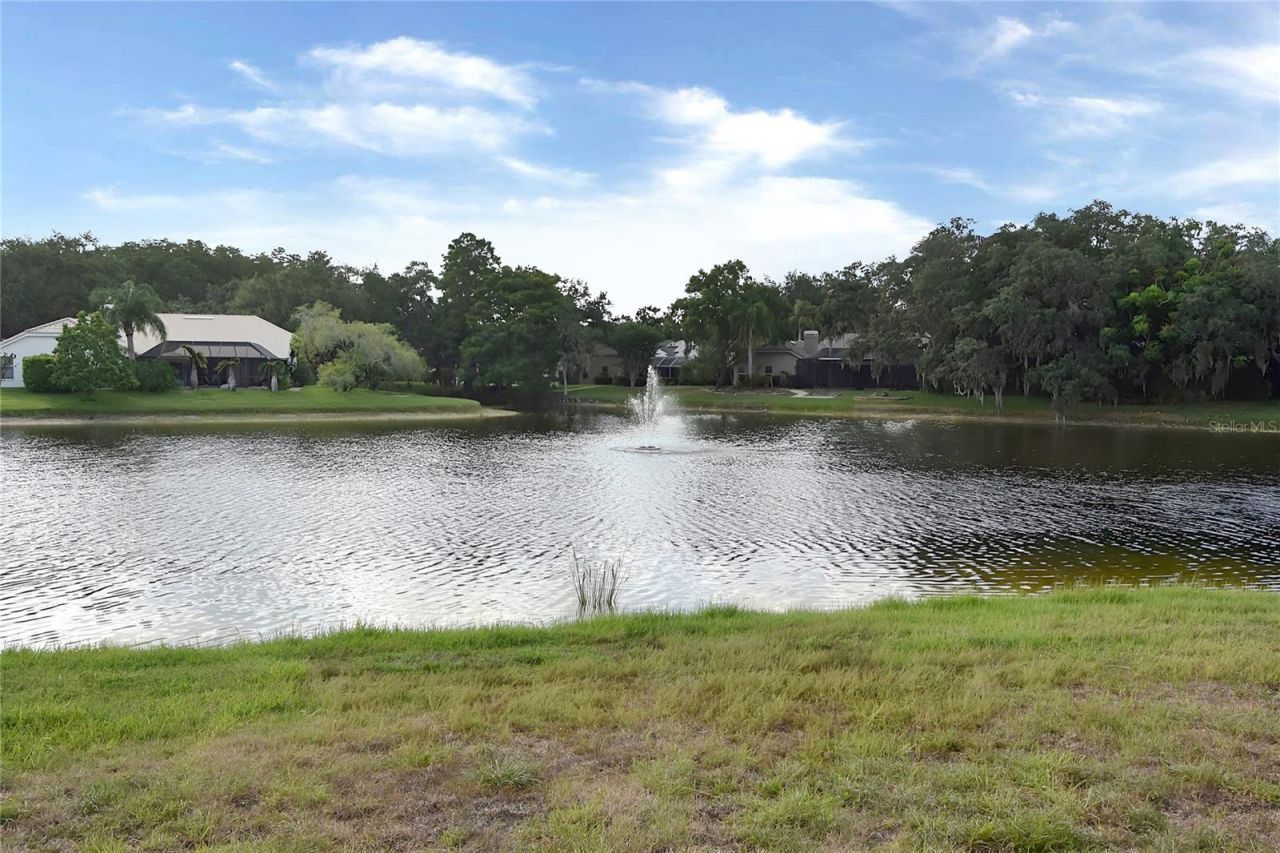 4763 Brayton Terrace N, Palm Harbor, FL 34685 Photo