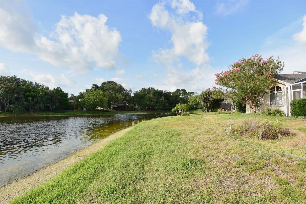 4763 Brayton Terrace N, Palm Harbor, FL 34685 Photo