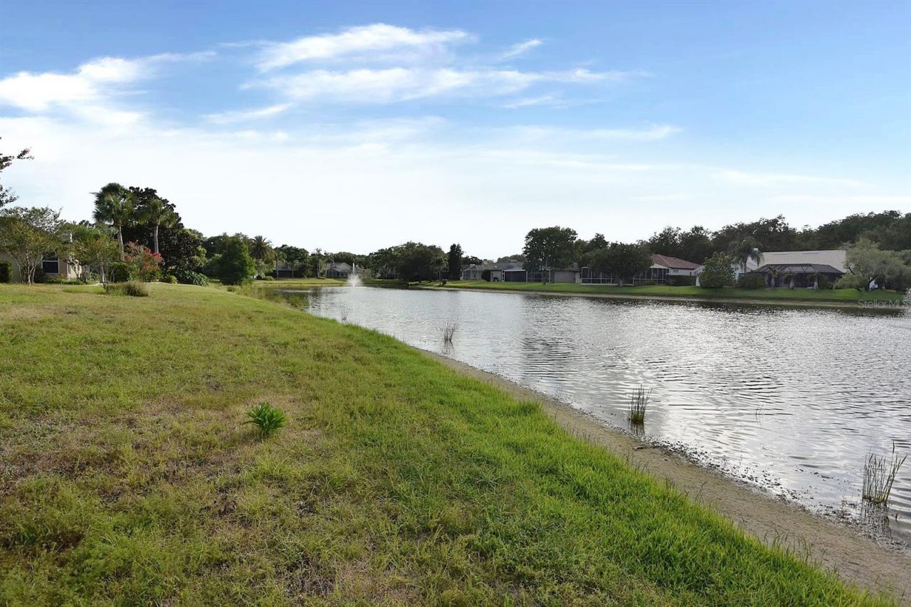 4763 Brayton Terrace N, Palm Harbor, FL 34685 Photo