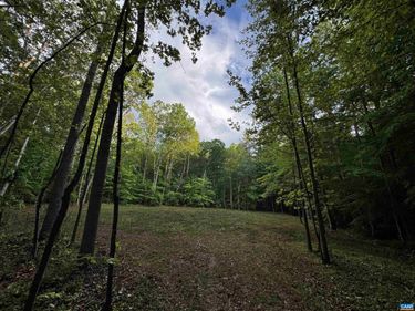 0 FREDERICKSBURG RD, Ruckersville, VA 22968